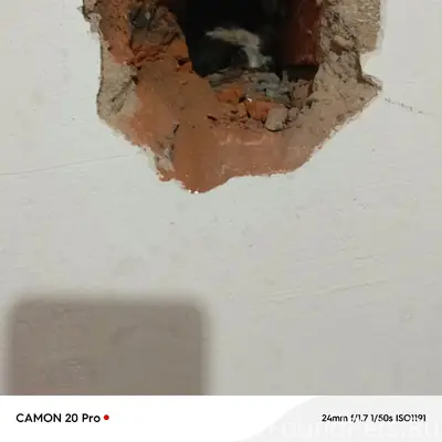 Найден бездомный кот, неизвестно где