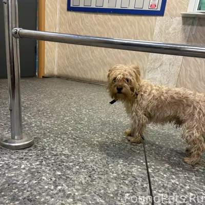 Найден мальчик, Октябрьский район