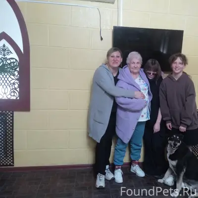 Пропал Бадик (Майкл), район Донской