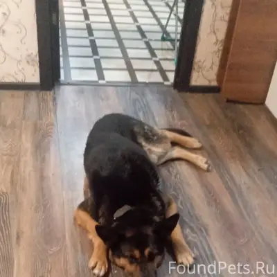 Пропал Рой, район торгового