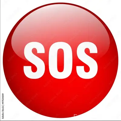 Пропал метис Грэй, район Труда/Воложка