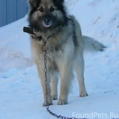 Пропал Хачик, район ул. Красина