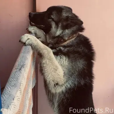 Пропал кабель Назар, Зарощенская улица