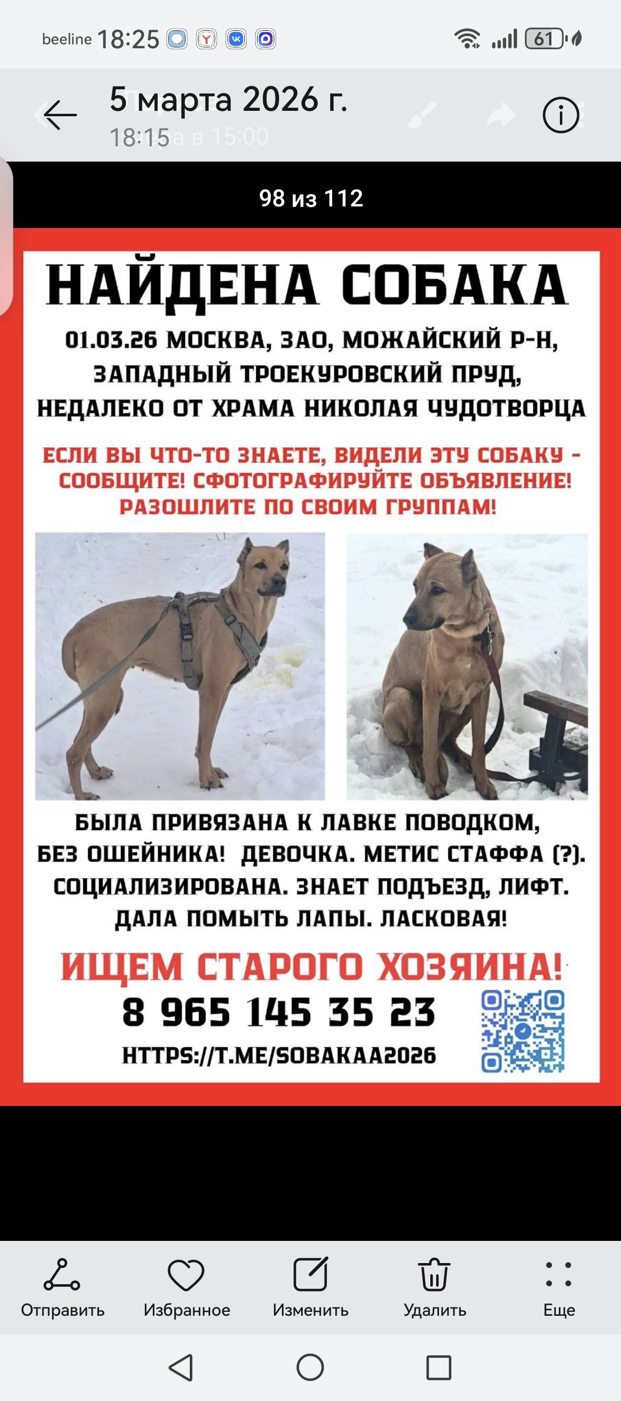 Найдена собака