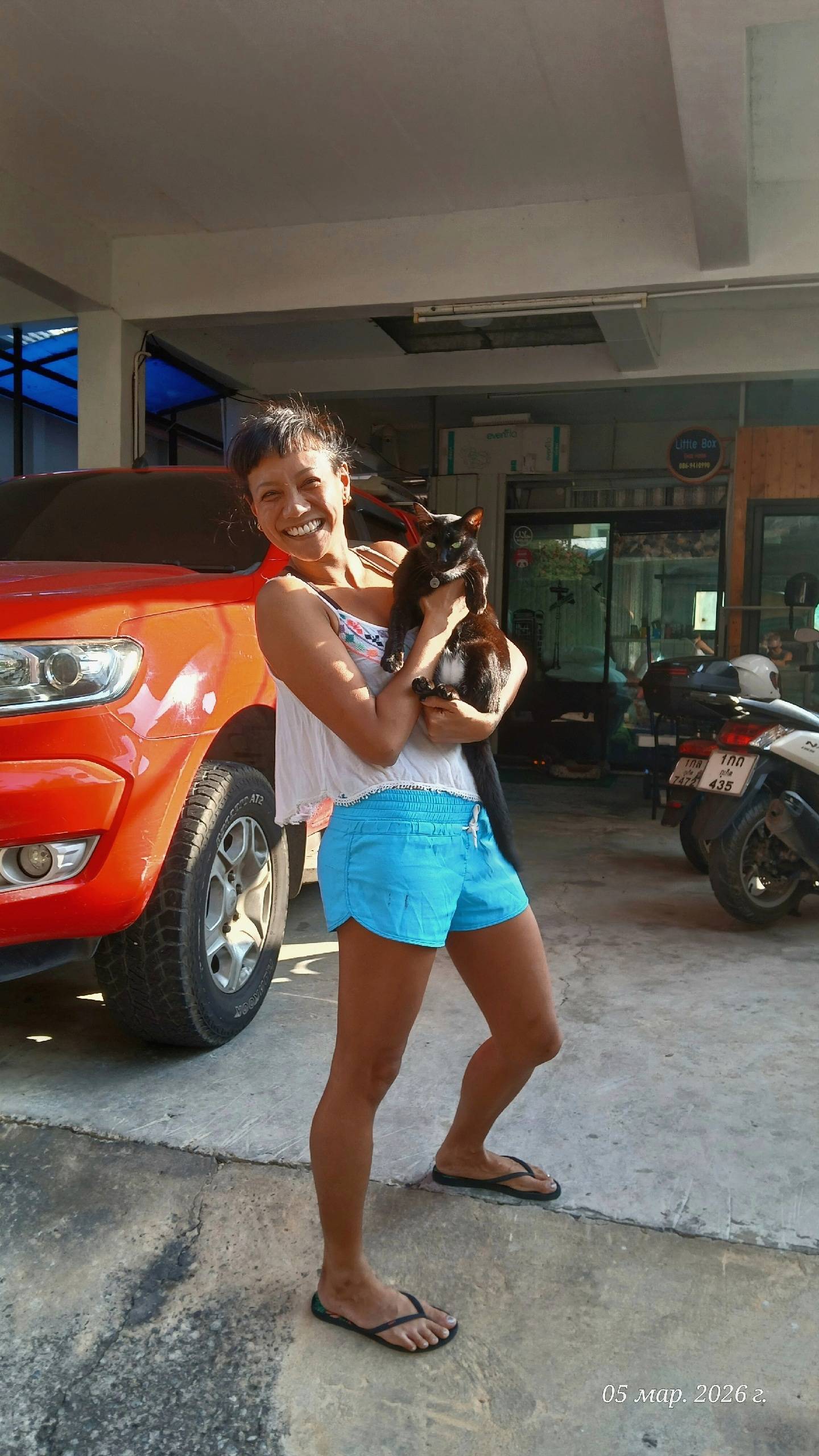 Найдена кошка, [место не указано]