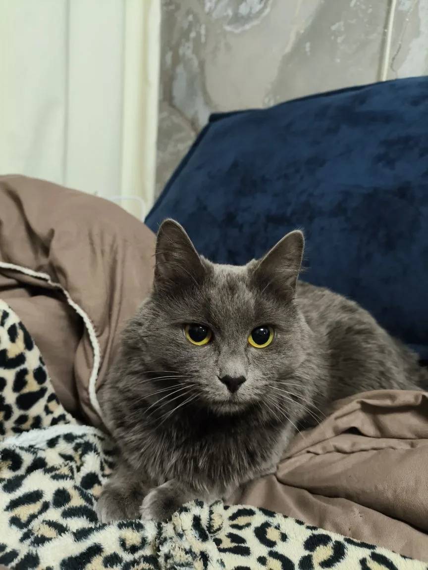 Выбежала случайно на улицу 