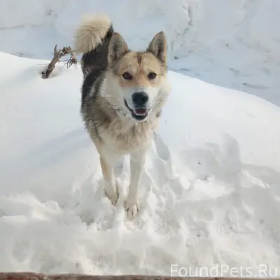 Пропал кабель, район оплесина