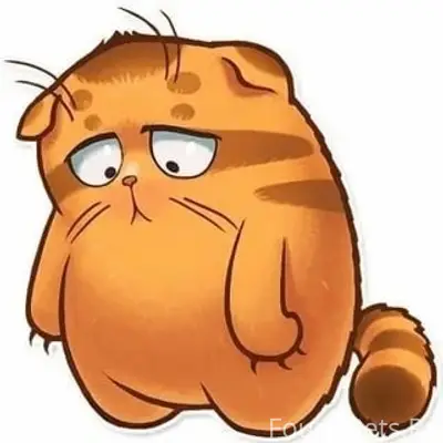 Найден рыжий кот, дом Правды 21а