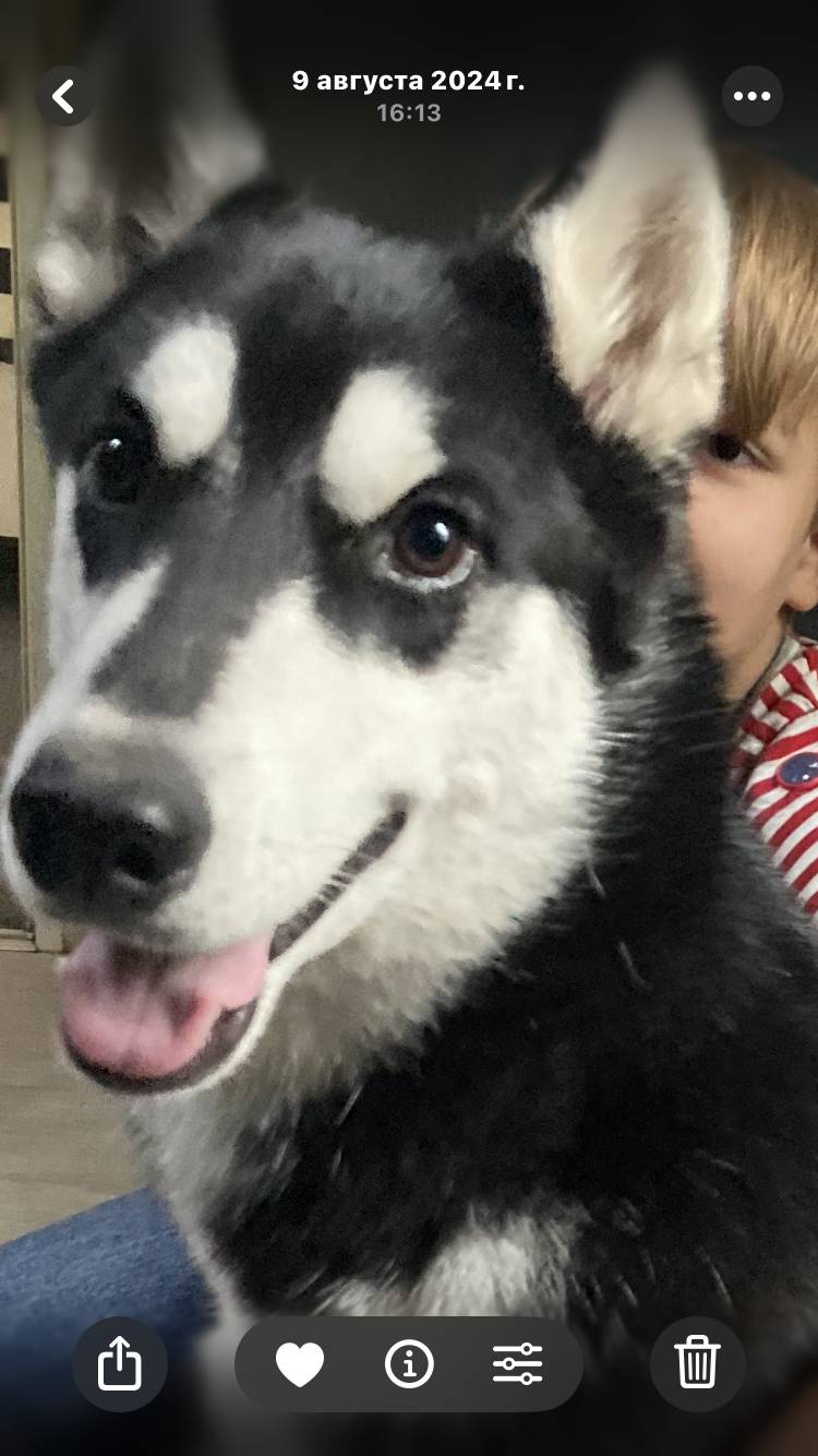 Пропал мальчик  Джейсон