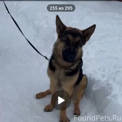 Пропал кабель Велес, СДТ Горняк