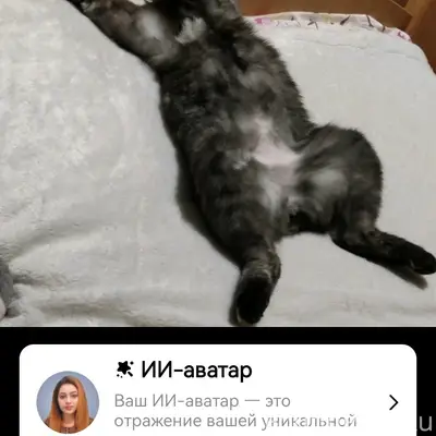 Пропала кошка Бакси, 1,2 микрорайоны