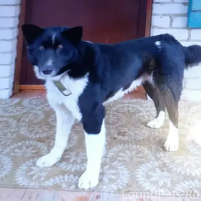 Пропал Джек, Ивановский