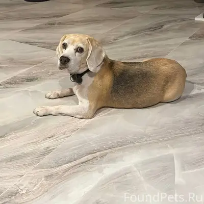 Пропал мальчик Ёся, Мельничный тракт