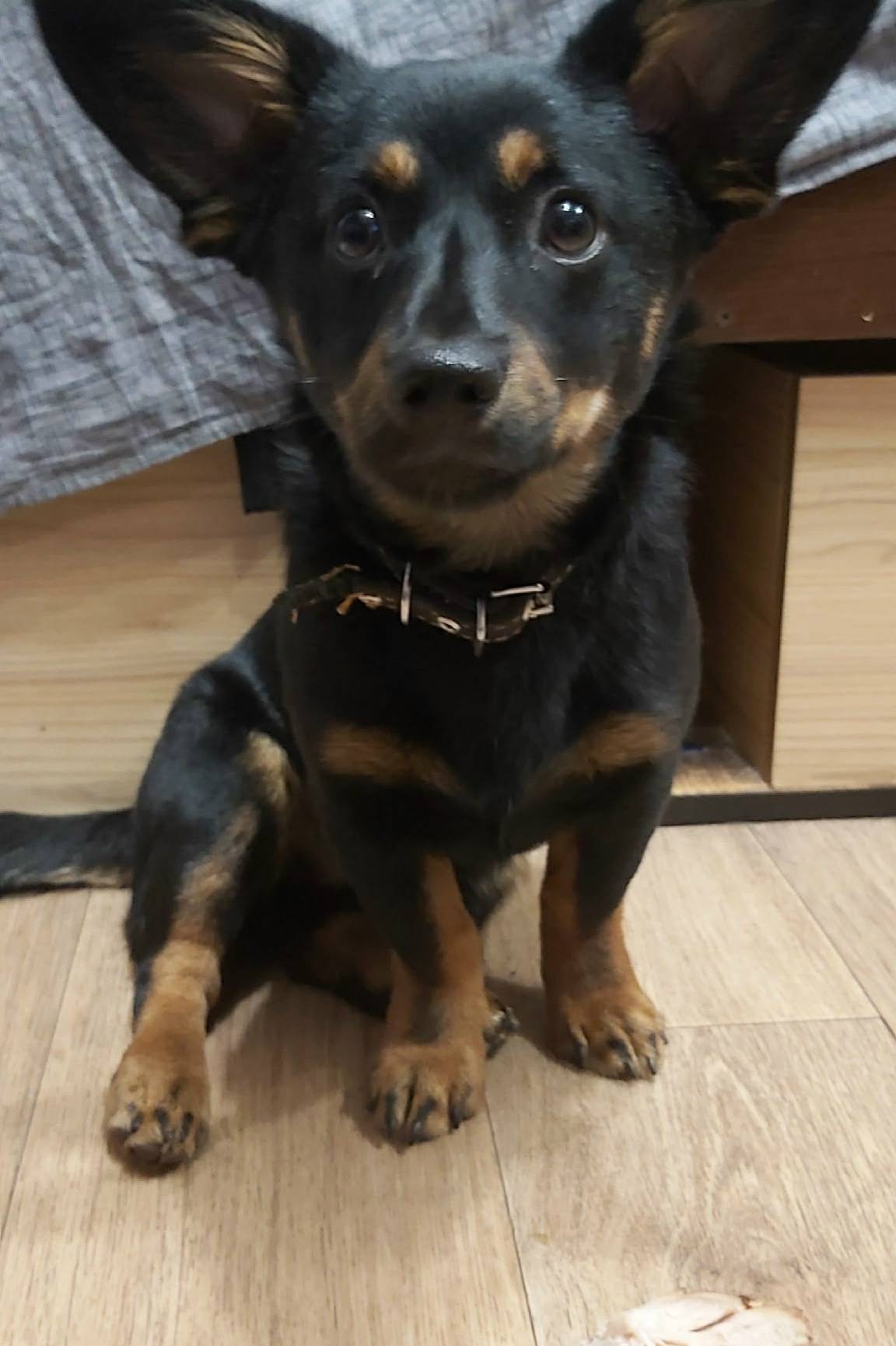 Пропал Граф, 1053км, станция Авдеева