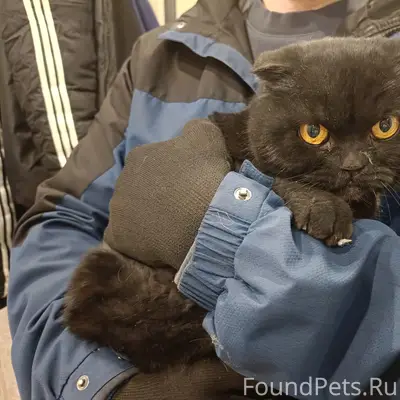 Найден котик, Лопатинский рудник