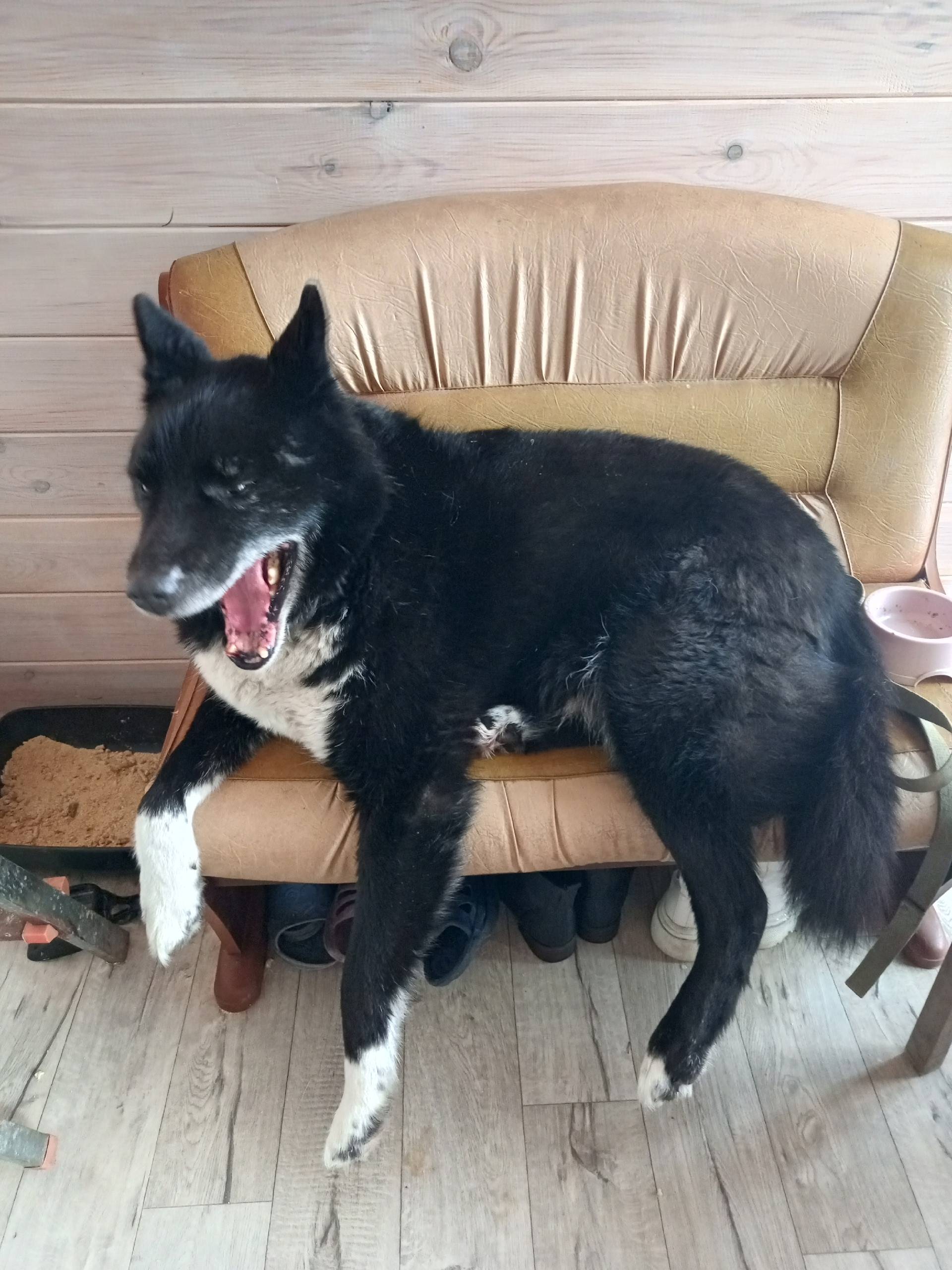 Пропал Рик, деревня Коптево