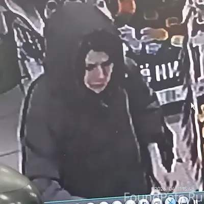 Пропала кошка Мурка, бульвар Космонавтов