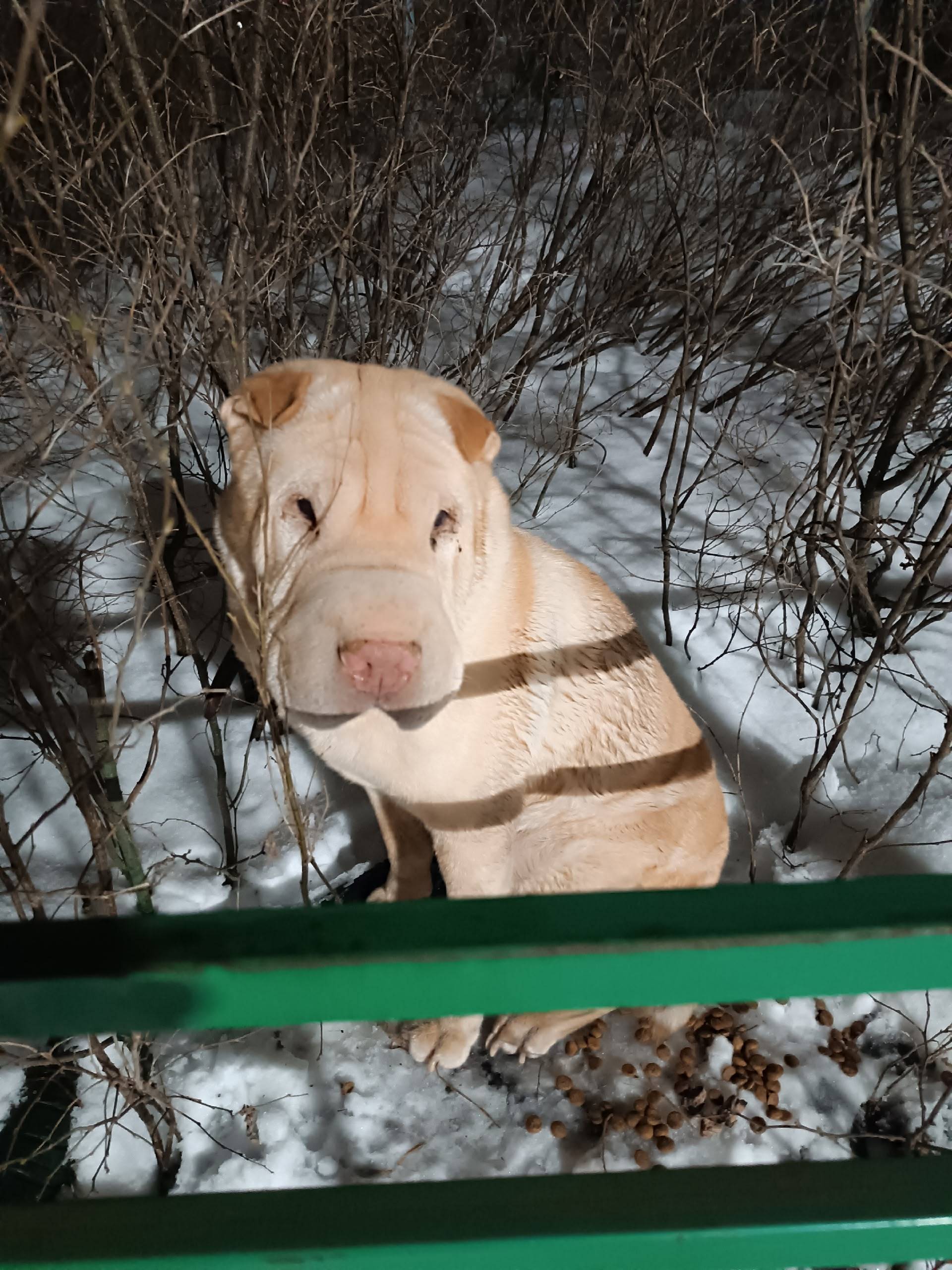 Найден тип неизвестен, место неизвестно