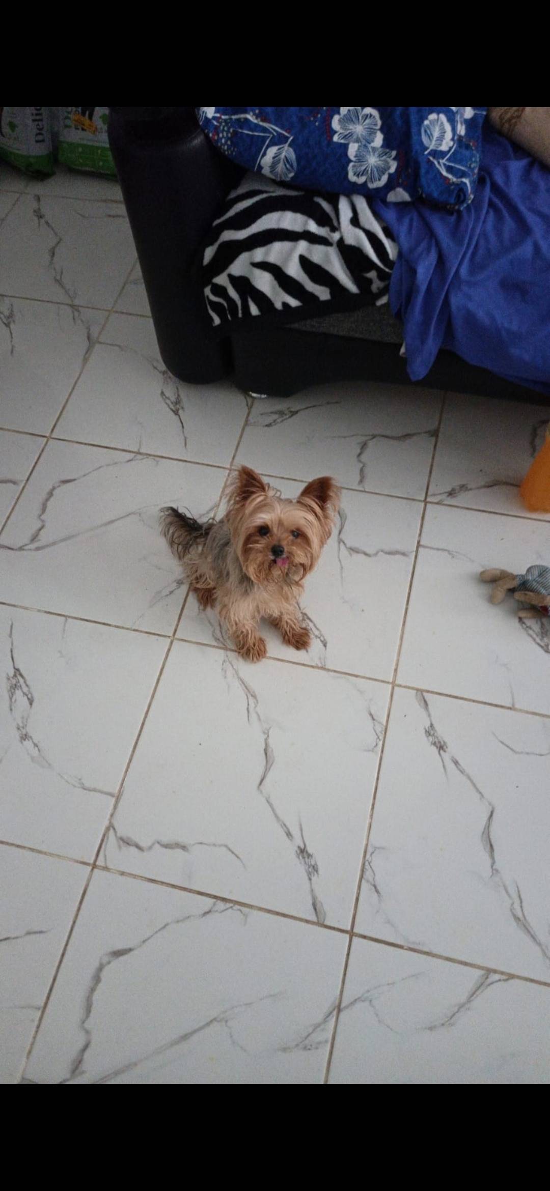 Пропал Джони, Мусоргского 6/1/Московской 144