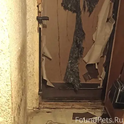 Пропал черный кобель Рэсси, Анненки