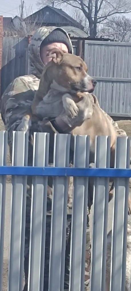 Найден кабель в с. Миндерла