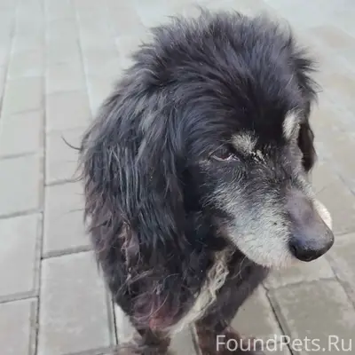 Пропал мальчик, Пролетарский (Нахичевань)