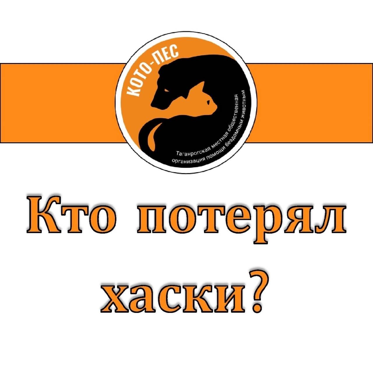 Найдена собака в Новобесергеневке, в ошейнике