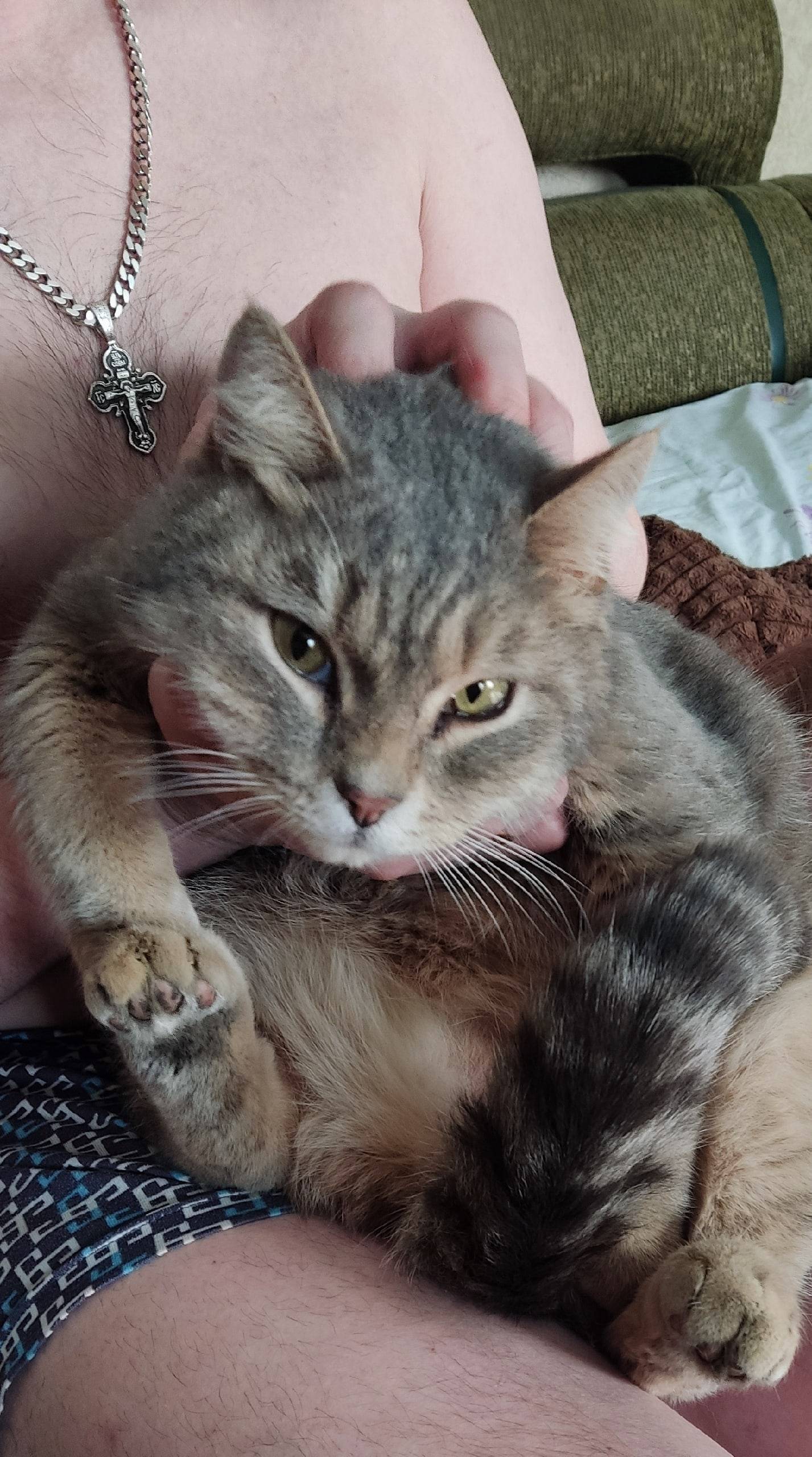 Пропал кот Сеня, район центральной проходной