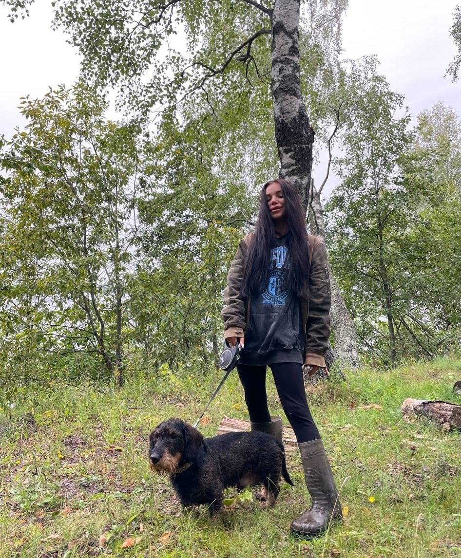 Пропала жесткошёрстная такса Лой, Ивановская область