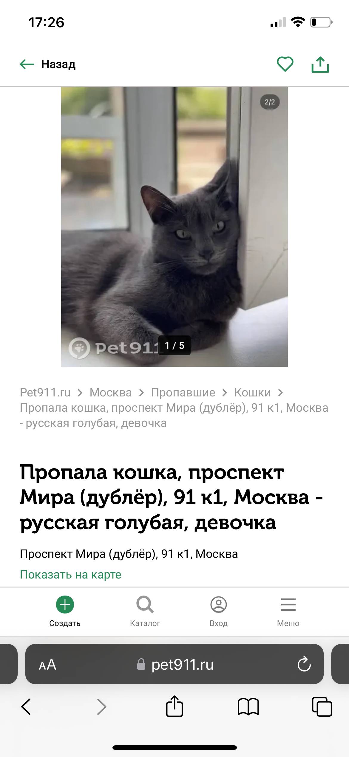 Пропала Кошка 🐈‍⬛ 