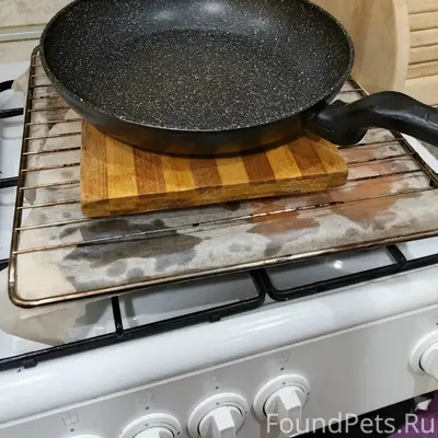 Пропал кот, 