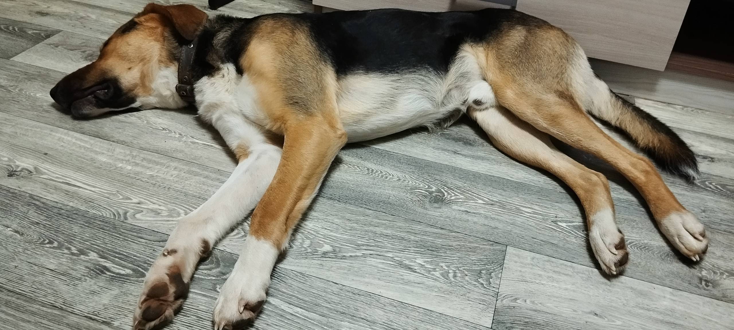 Пропал Барри, район Нового Бурца