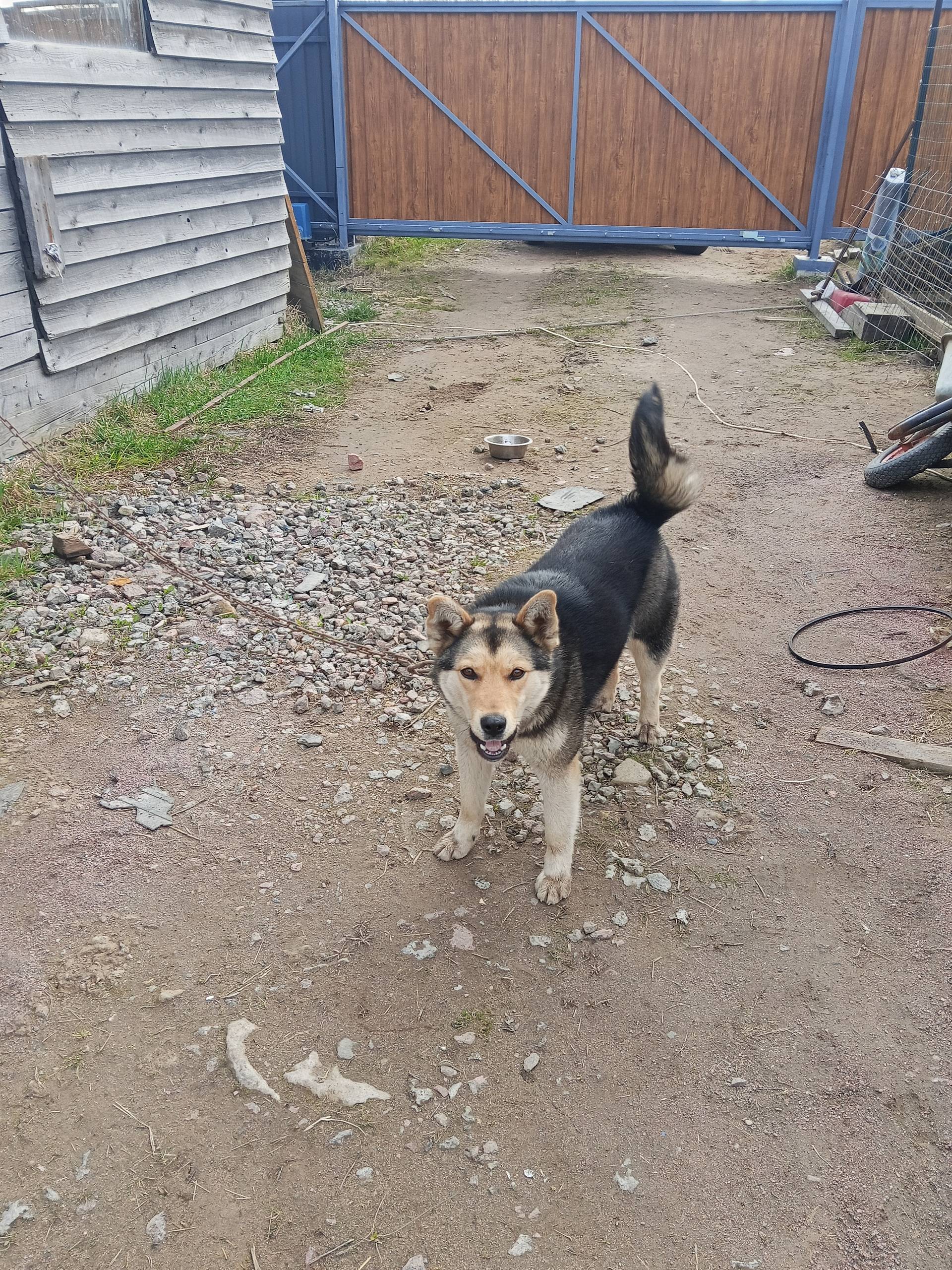 Найден тип неизвестен, без клички