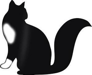 Найден чёрный кот, Калининский район