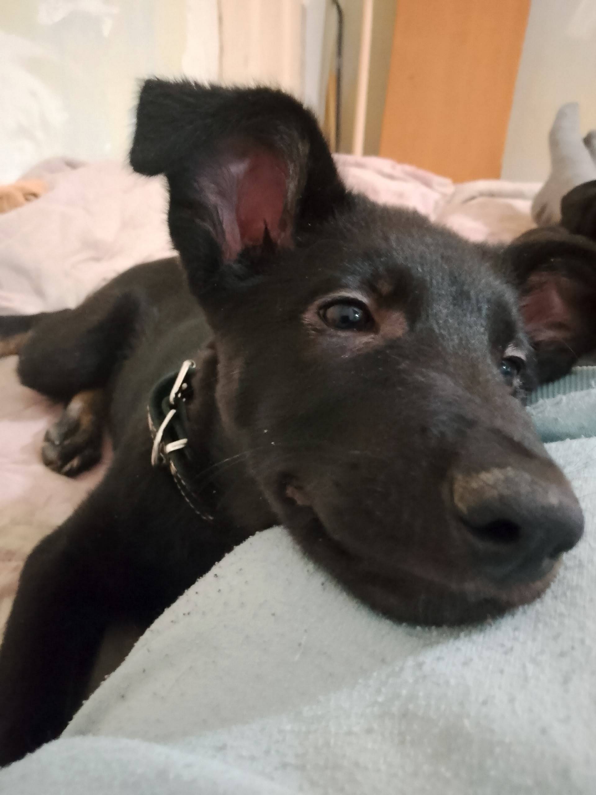 Пропала ВЕО Айда, район СЭС