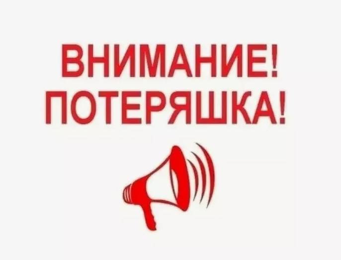 Найдена беременная кошка, Борисоглебская слобода