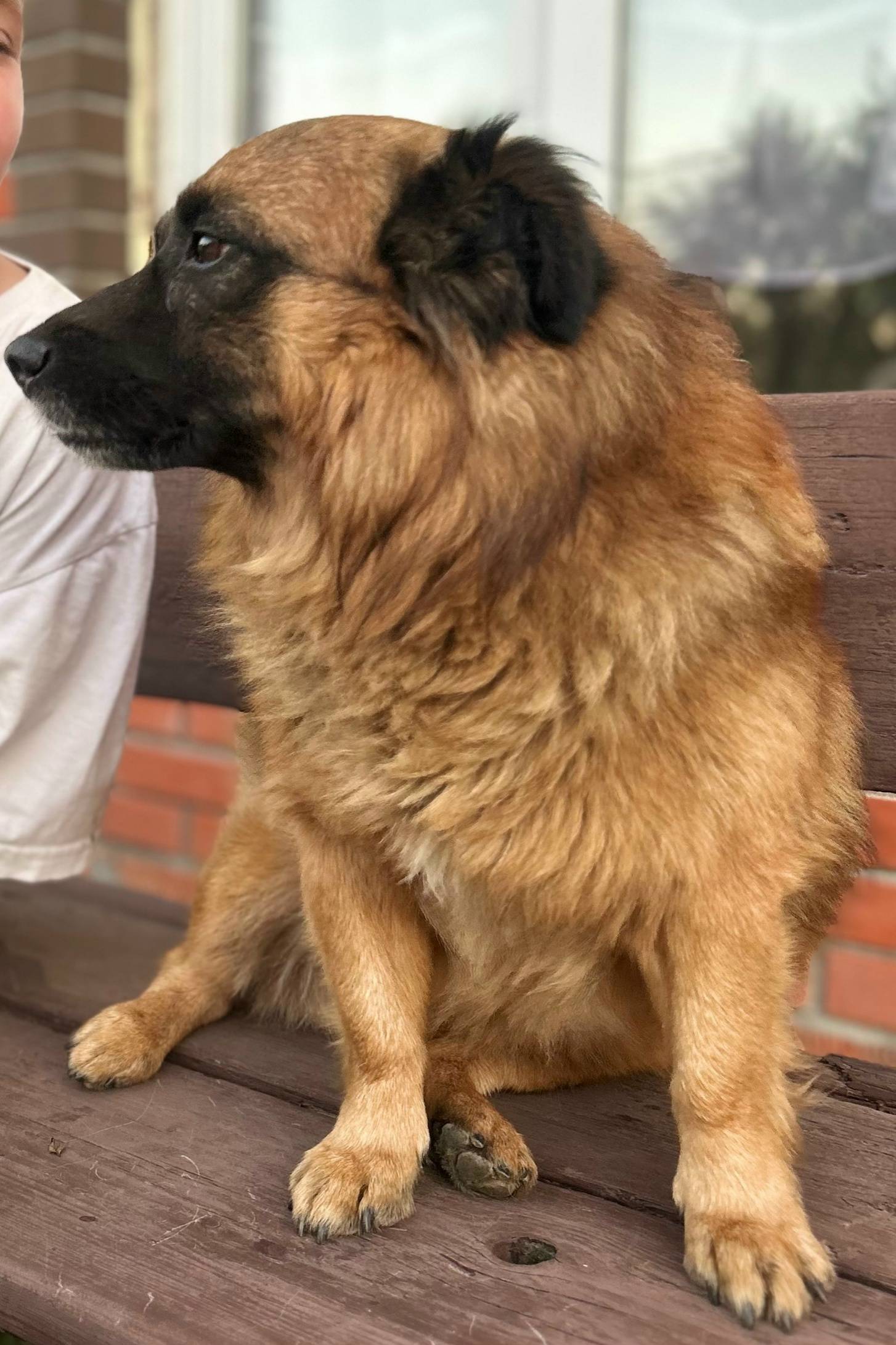 Пропал Малыш, Доропоново (Воротынск)