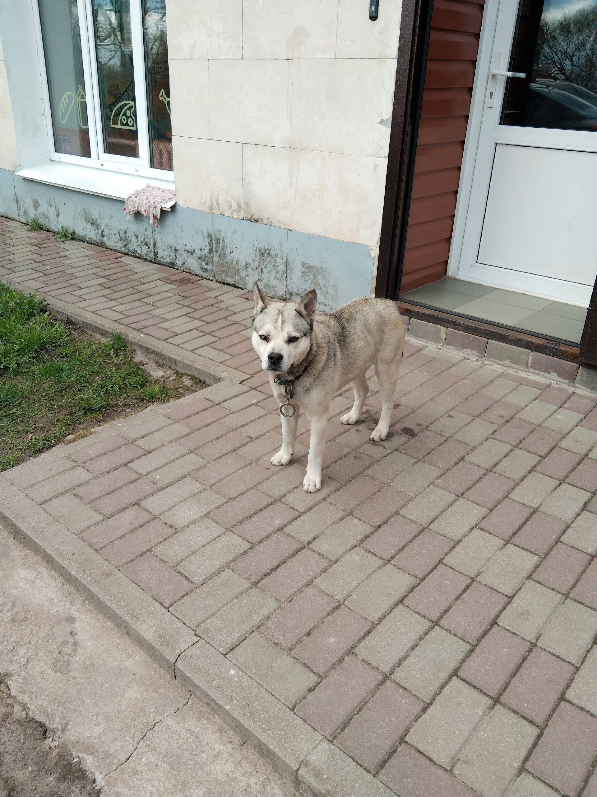 Найден кабель, Зарево