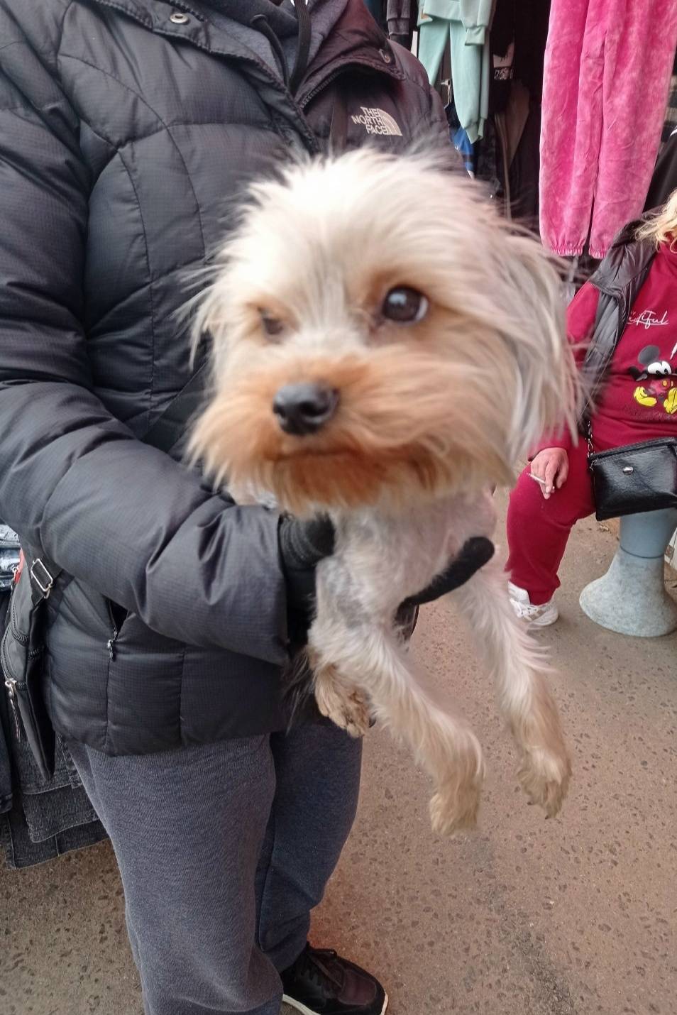 Найден Йорк, рынок 9 Мая