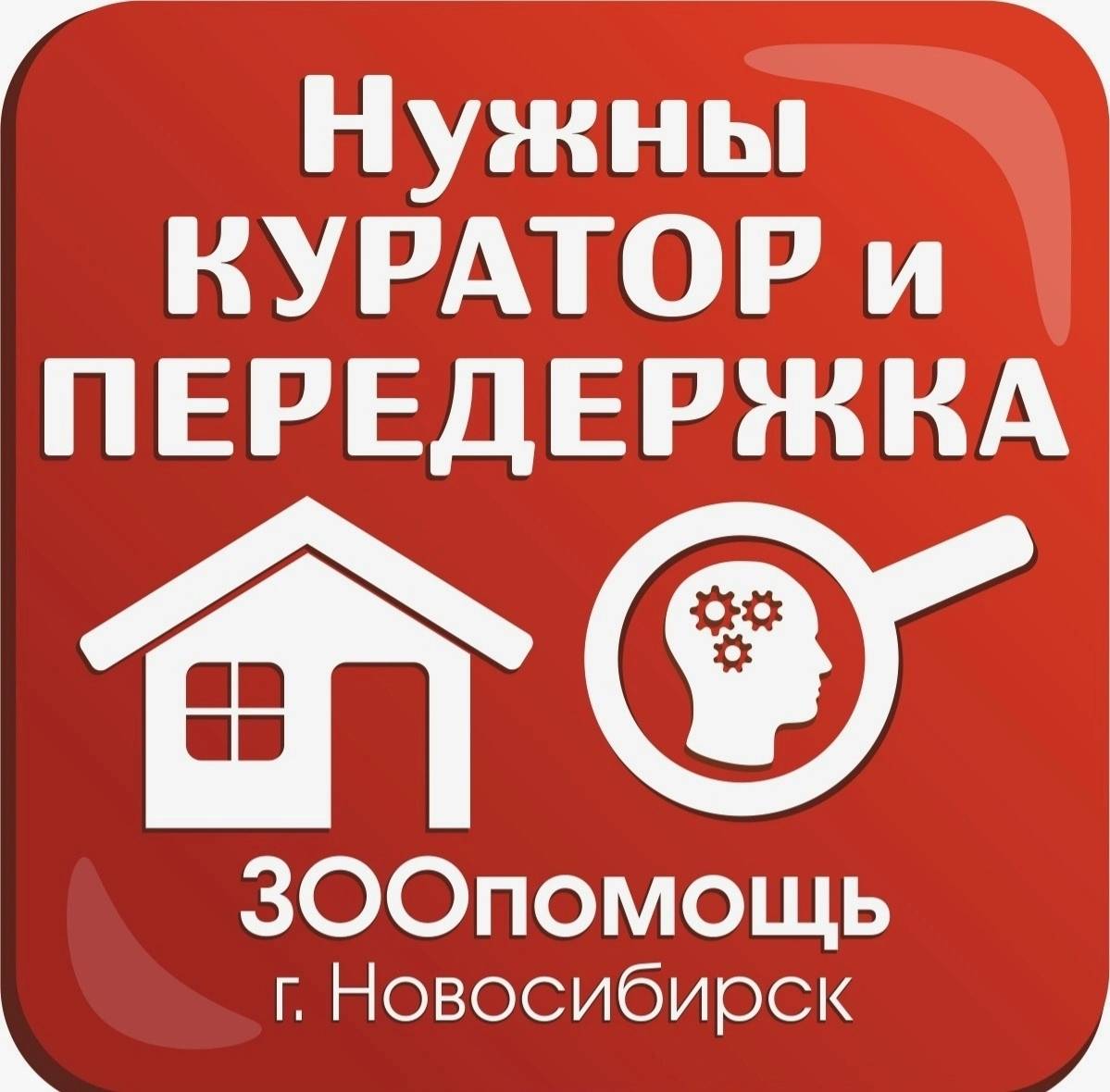 Найдена кошка, район Маркса