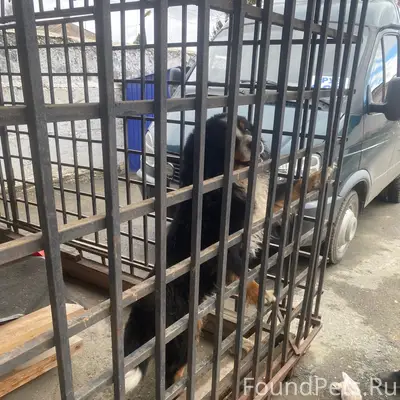 Найден тип неизвестен, место неизвестно