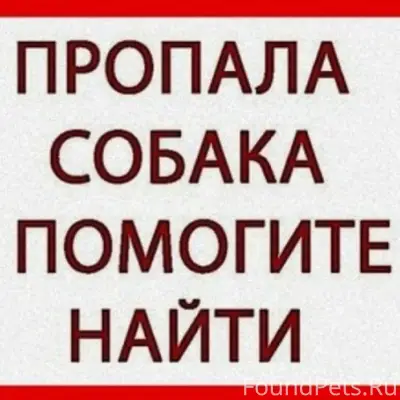 Пропала собака Линда, Киндяковка