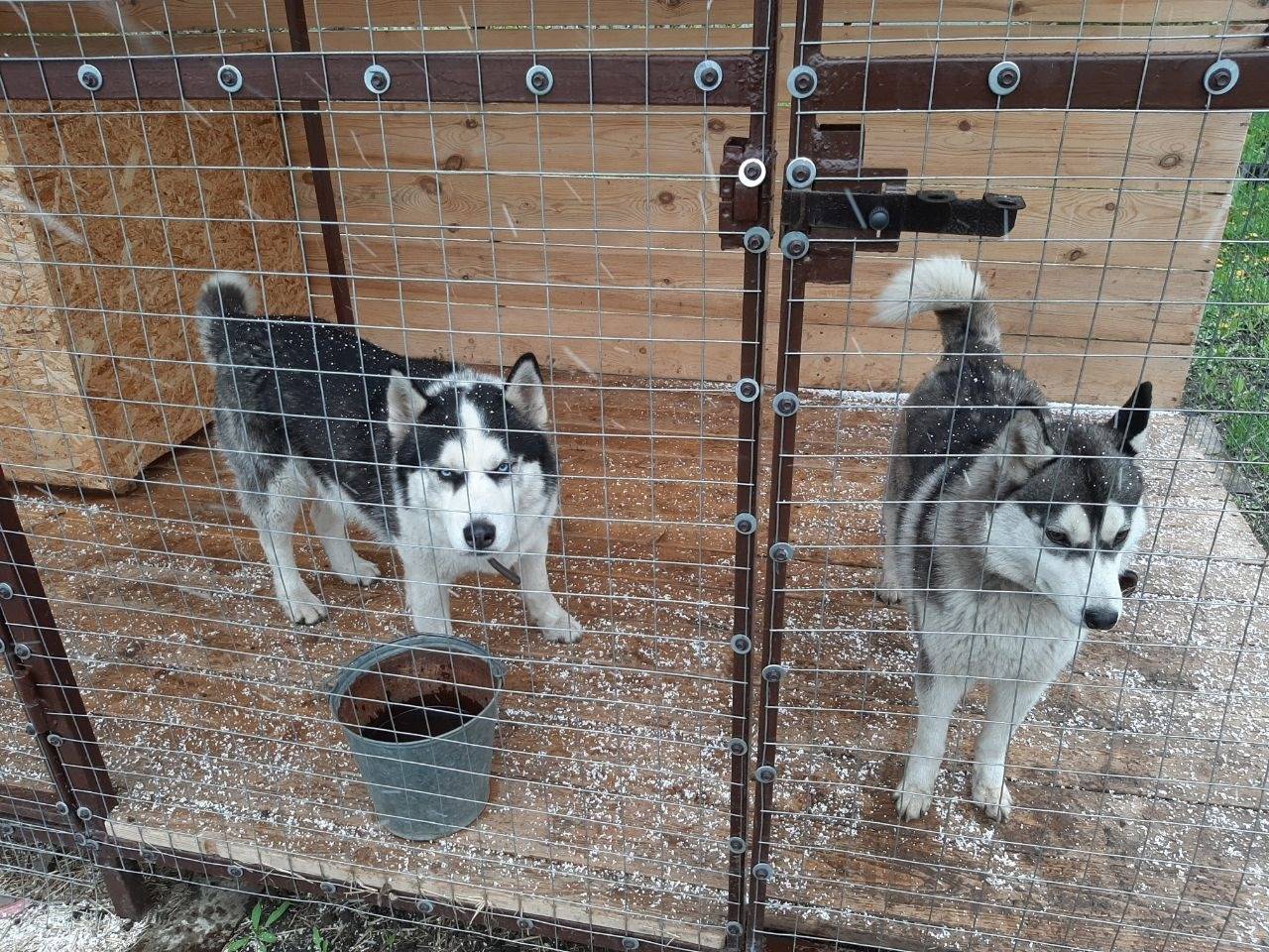 Пропал Велес, район обводной