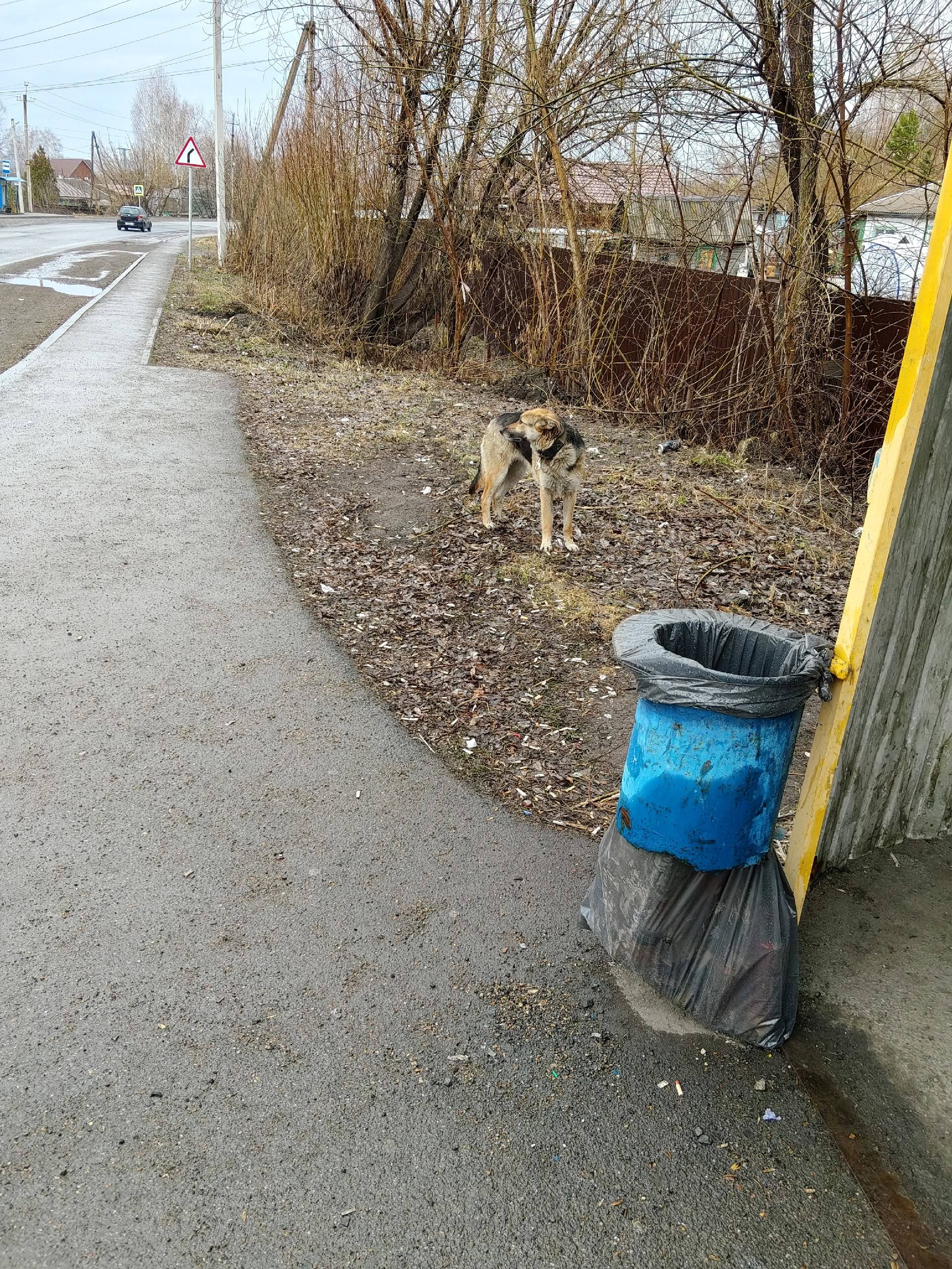 Пропала собака, Красная Орловка