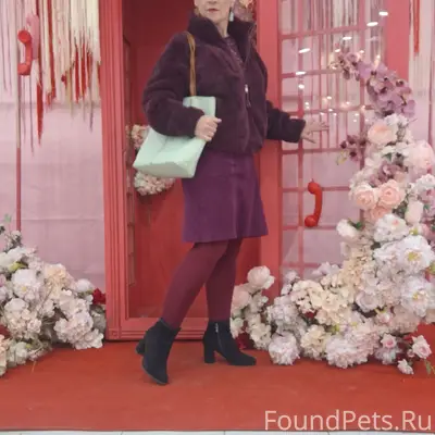 Найден щенок Чарли