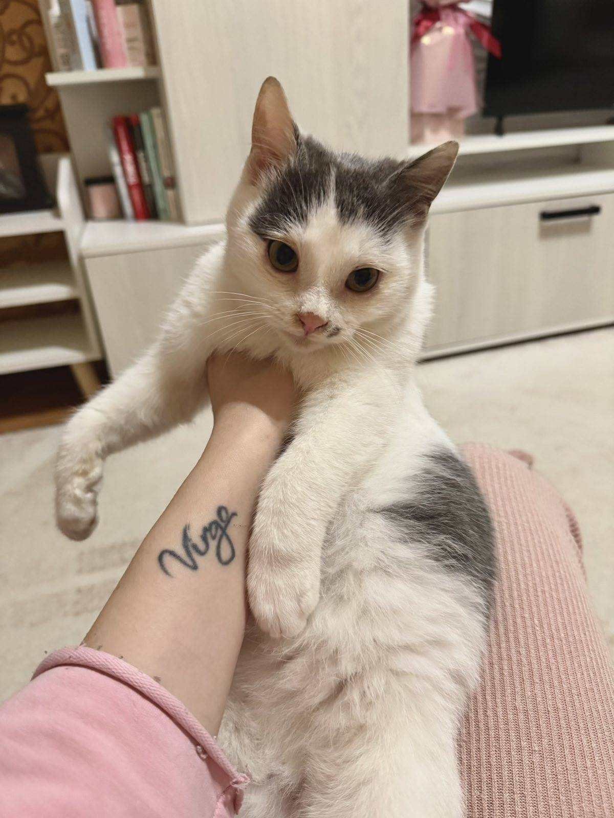 Пропал кот Афоня, Космонавтов 16