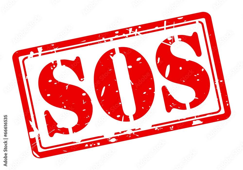 Пропал рыжий кот, Рязань, дендропарк