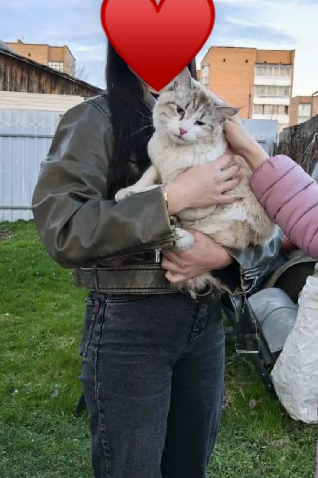 Пропал кот Кокос, Товарково