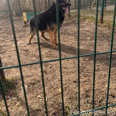 Найден кабель, Оборона