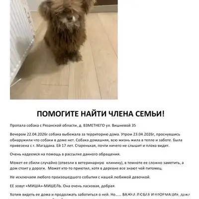 Пропала собака, Взметнево Рязанского района